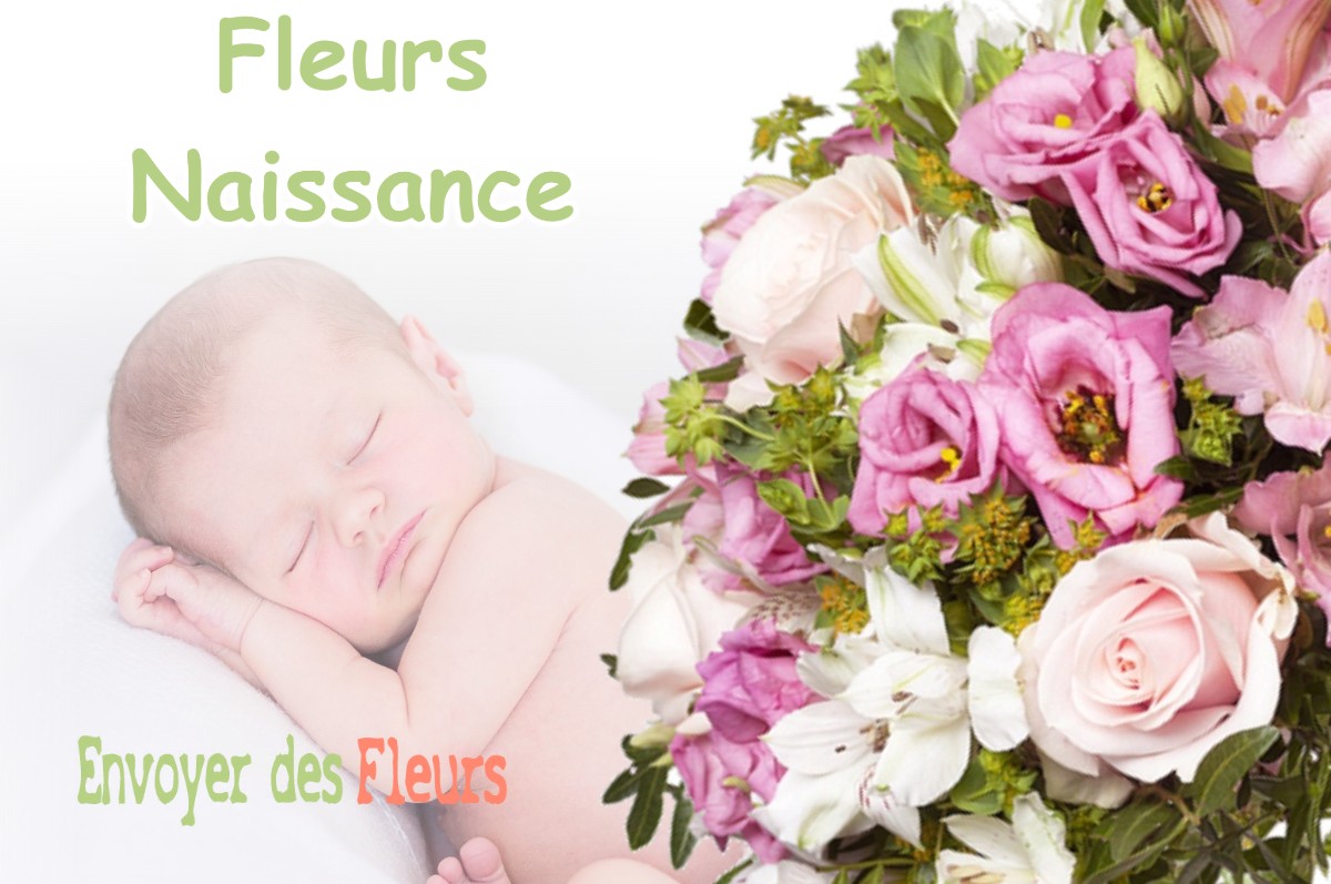 lIVRAISON FLEURS NAISSANCE à VALENCIN